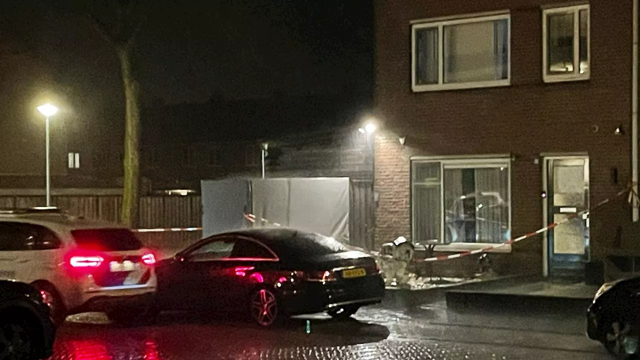 Oma vangt kogel op voor kleinzoon (2), twintig maanden cel voor schutter