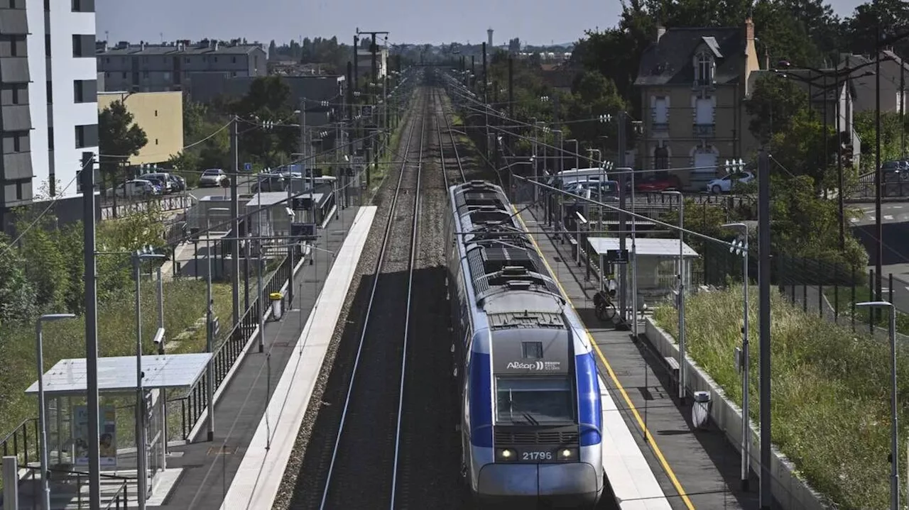 Chaque jour, environ 250 personnes choisissent la halte ferroviaire au Mans : « C’est positif »