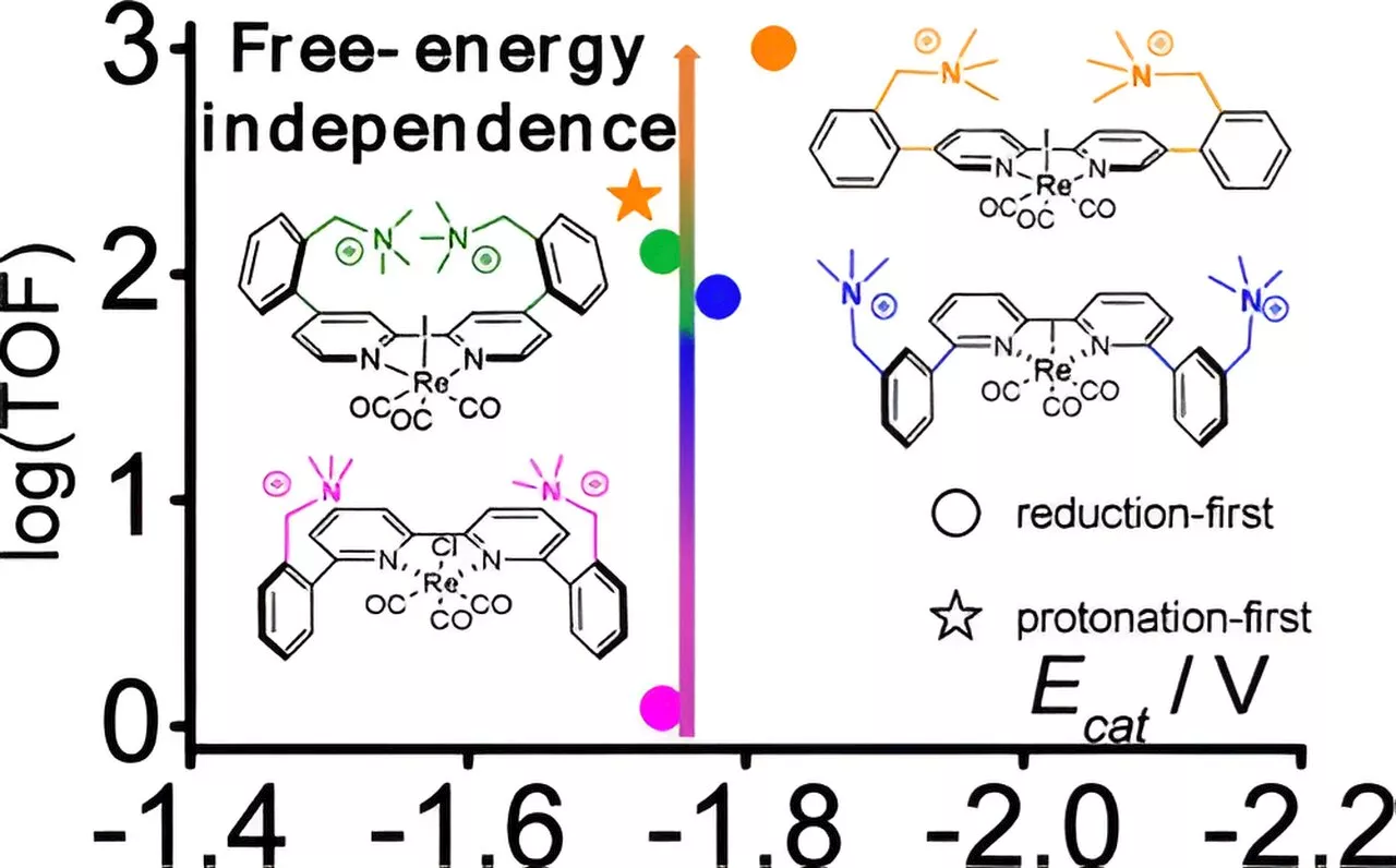 A potential new route to super-efficient carbon dioxide reduction: Catalyst offers 800-fold boost