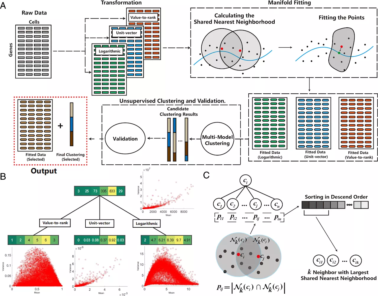 Elevating analysis of genomic data with advanced mathematical techniques