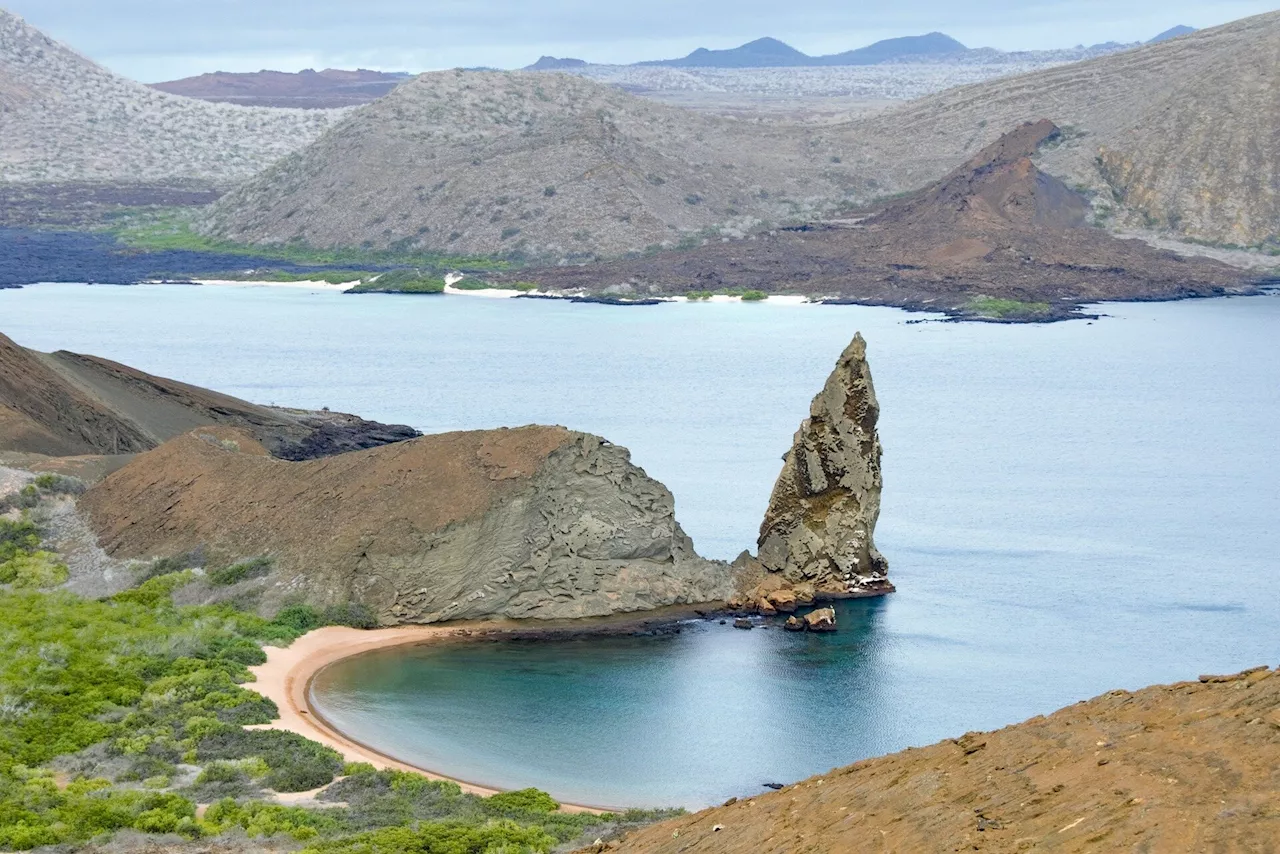 Islands are engines of linguistic diversity, study shows