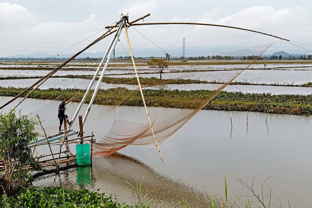 New study reveals urgent need for 'Blue Justice' in the emerging blue economy