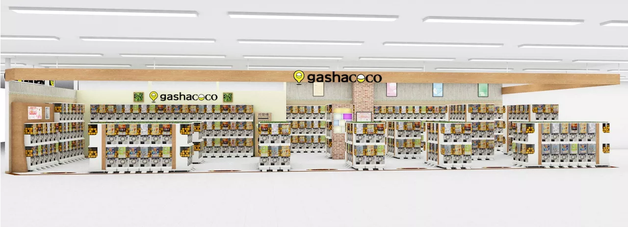 カプセルトイ専門店『gashacoco（ガシャココ）』のフランチャイズ店舗17号店『gashacocoコーチャンフォー釧路』を9月13日(金)オープン！