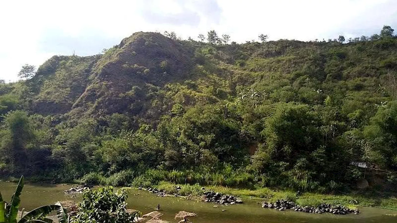 DENR targets 3 million trees planted in Upper Marikina Watershed by 2028