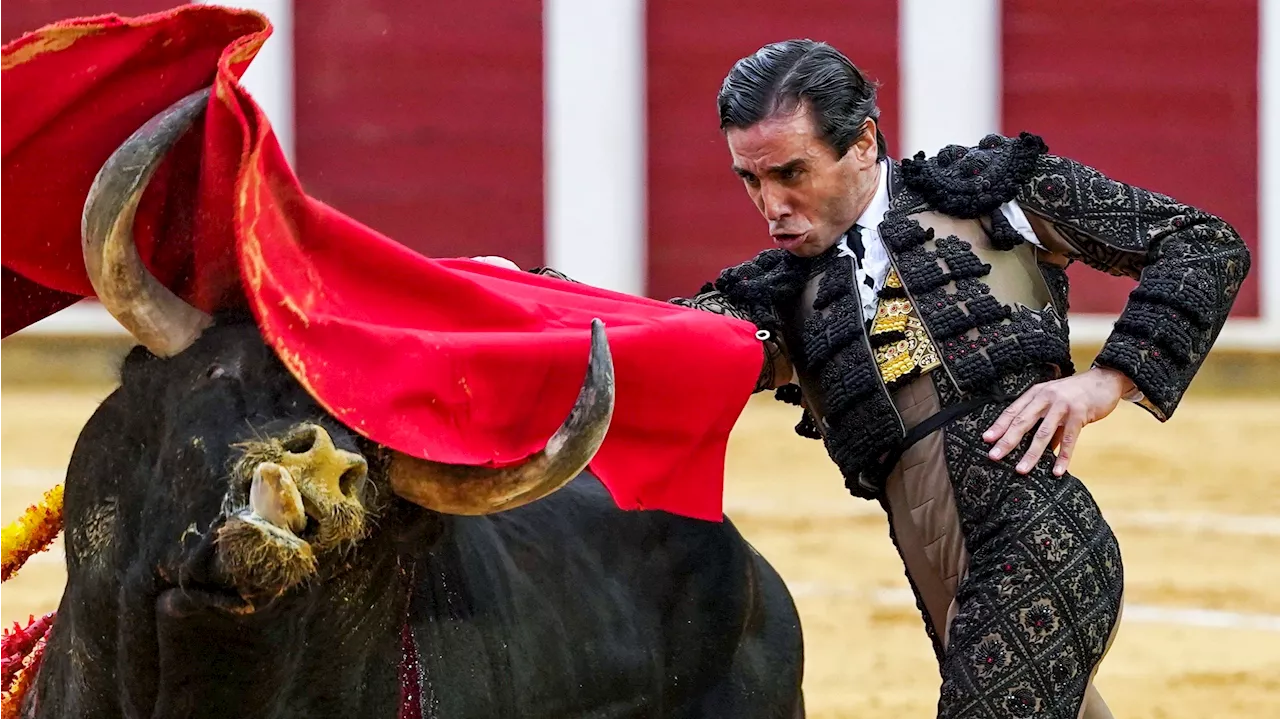 El BOE recoge la supresión del Premio Nacional de Tauromaquia por las 'demandas sociales'