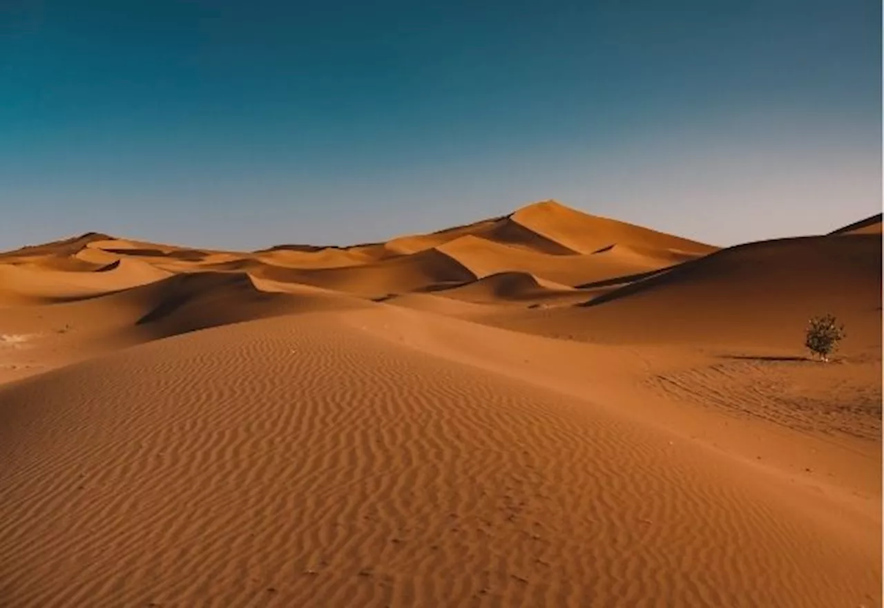 Brasil está com ar mais seco que o deserto do Saara, diz instituto