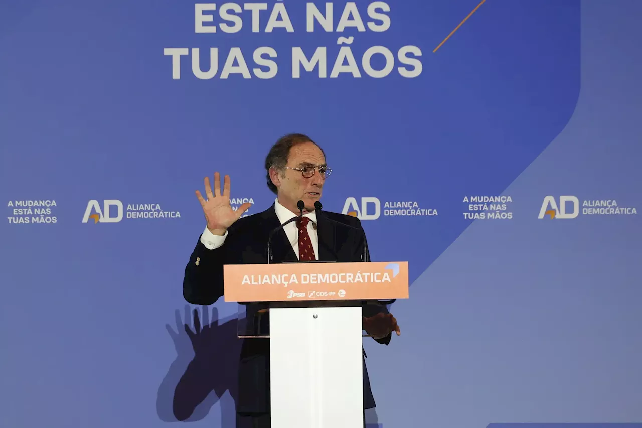 Paulo Portas diz que 'é preciso imigração' desde que respeite 'valores da Europa'