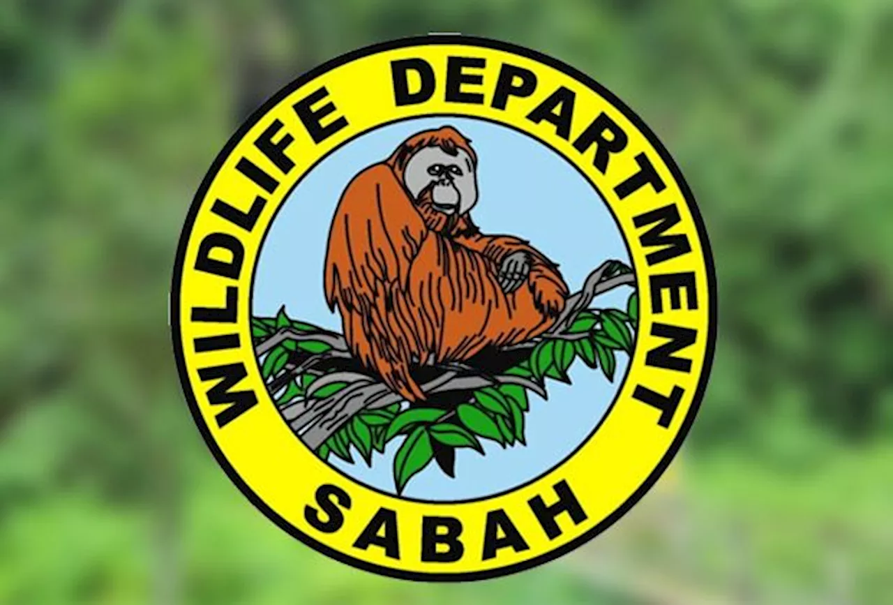 Jail, fines await those who keep wildlife without a permit, warns SWD director