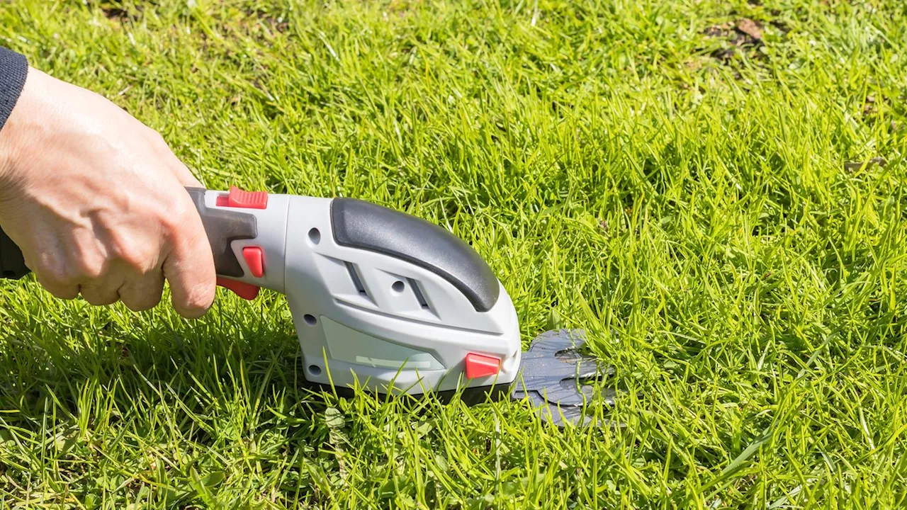 Garten-Deals am Freitag: Bosch Gartenschere für 49 statt 70 Euro