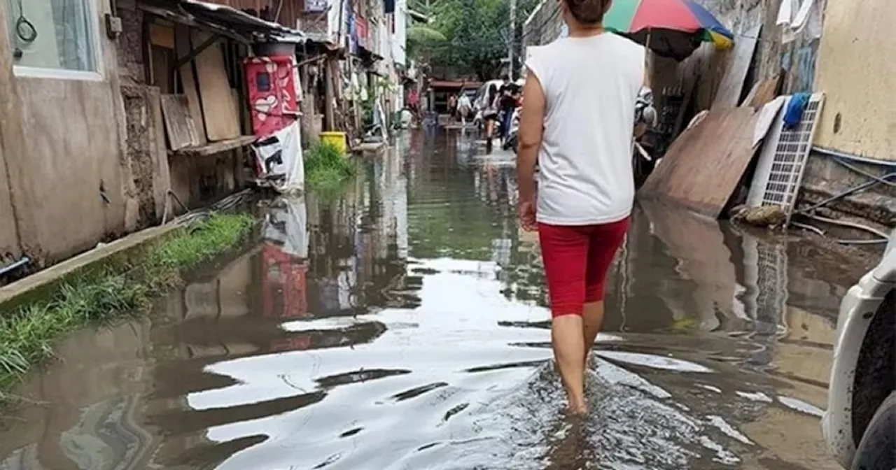 Intensified info drive brings down leptospirosis cases in Bacolod City