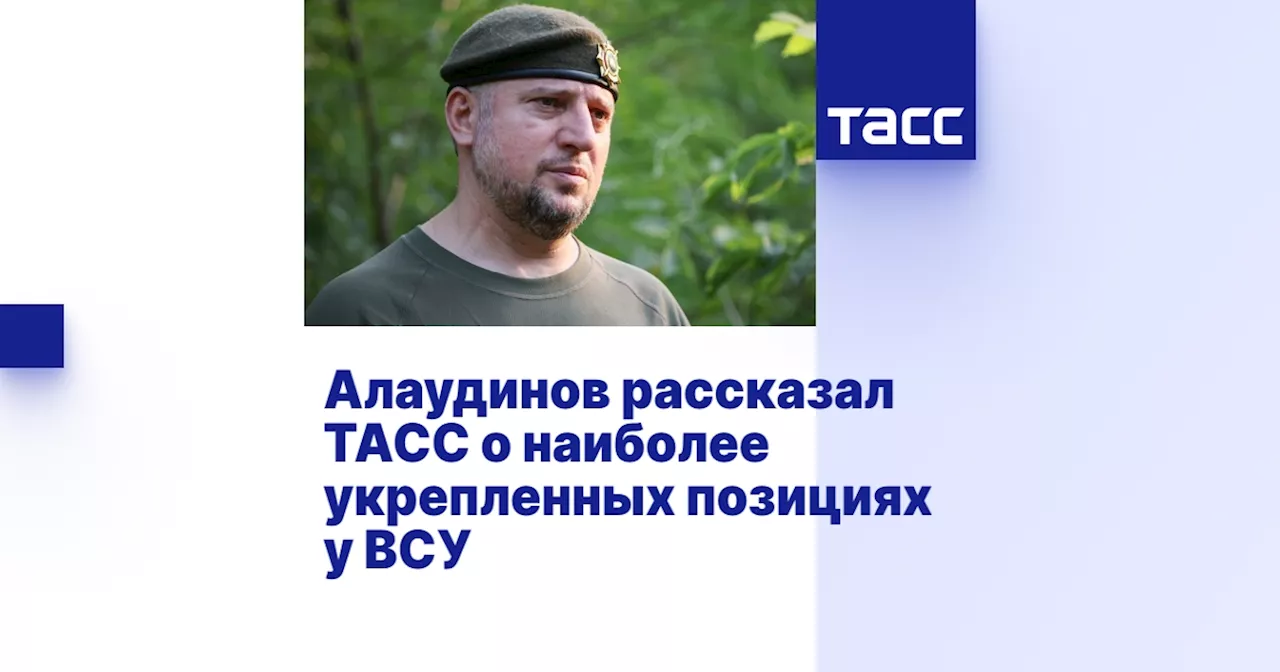 Алаудинов рассказал ТАСС о наиболее укрепленных позициях у ВСУ