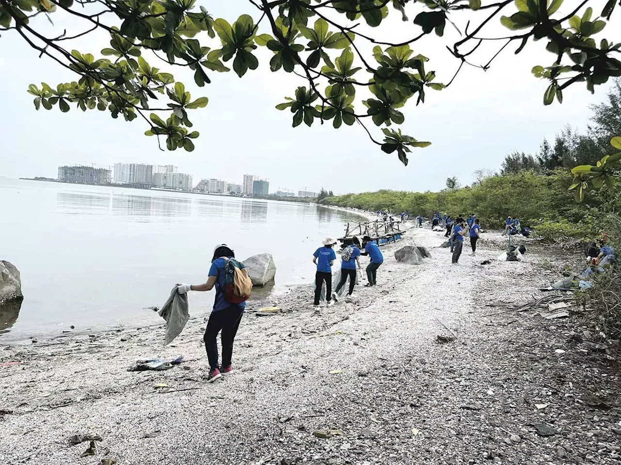 EY GDS employees plant mangroves, sky farms