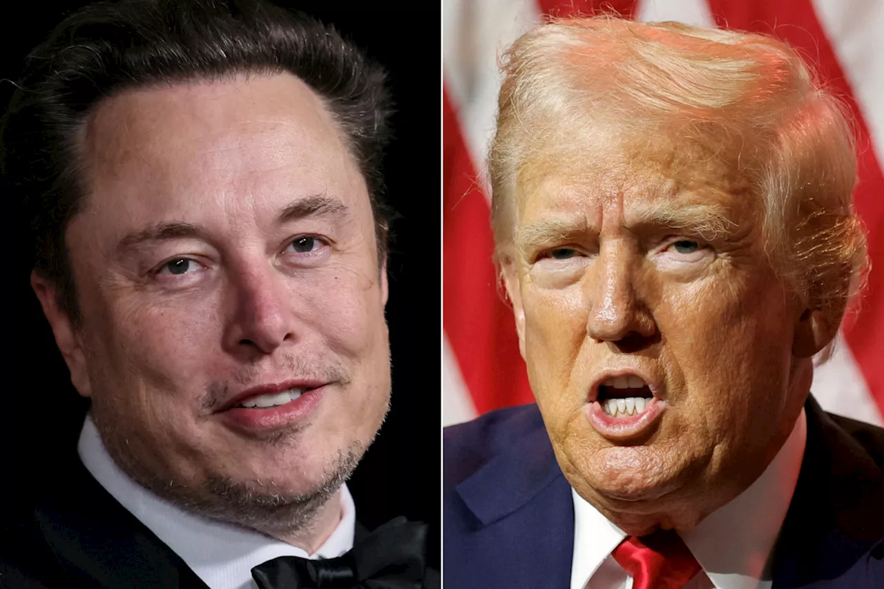 Donald Trump taps Elon Musk to ‘save trillions’ in war on waste