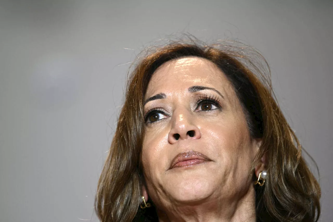 Poll: Endorsing Israel Arms Embargo Would Boost Harris’s Support to 49 Percent