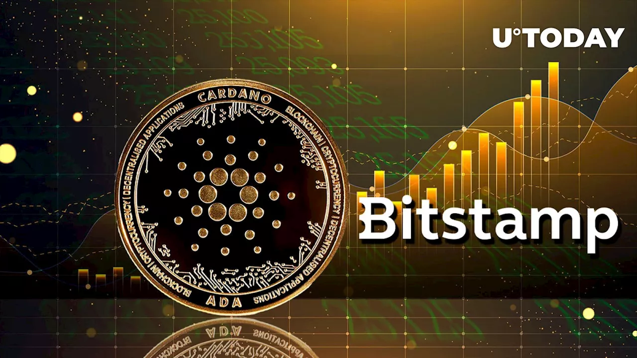 Major Exchange Bitstamp Picks Cardano (ADA) as Hottest Trend Right Now