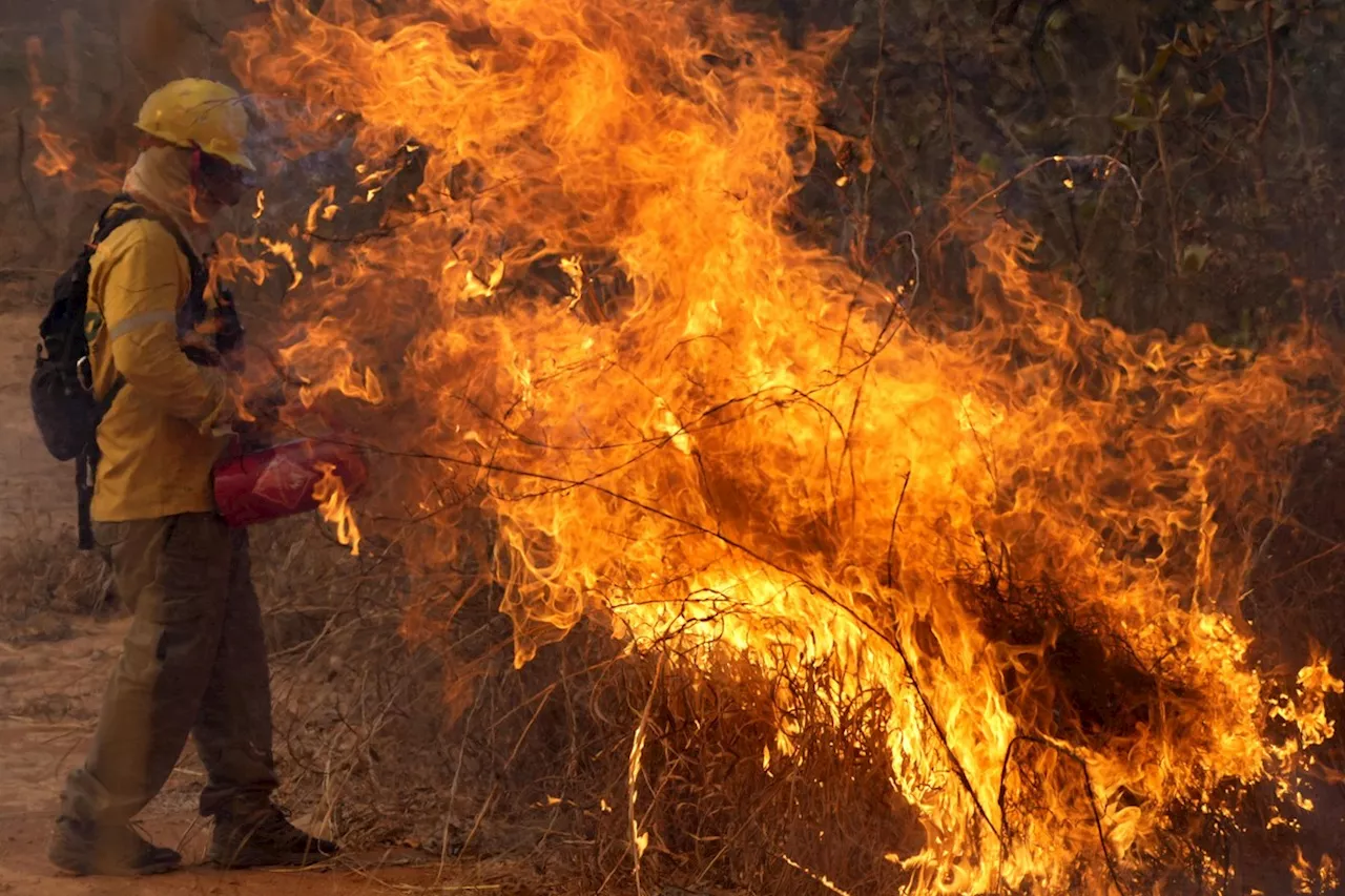 PF investiga 52 incêndios no Brasil, mas não vê ação orquestrada até agora