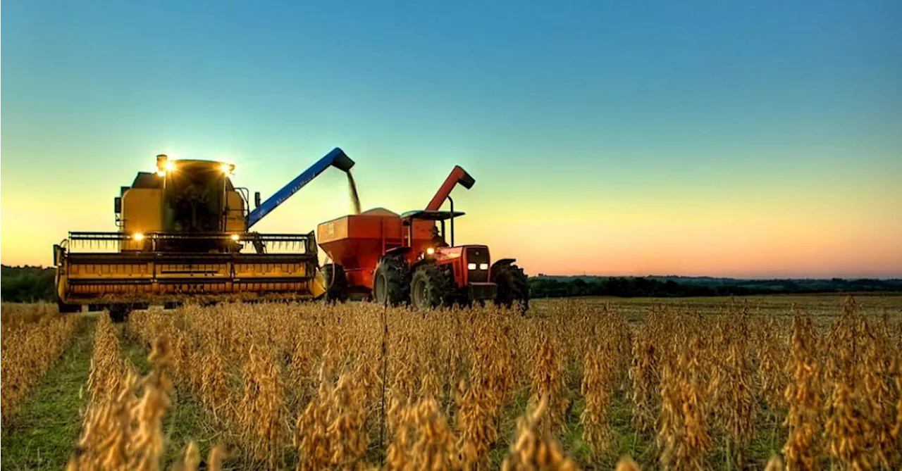 A importância do cooperativismo no agro brasileiro