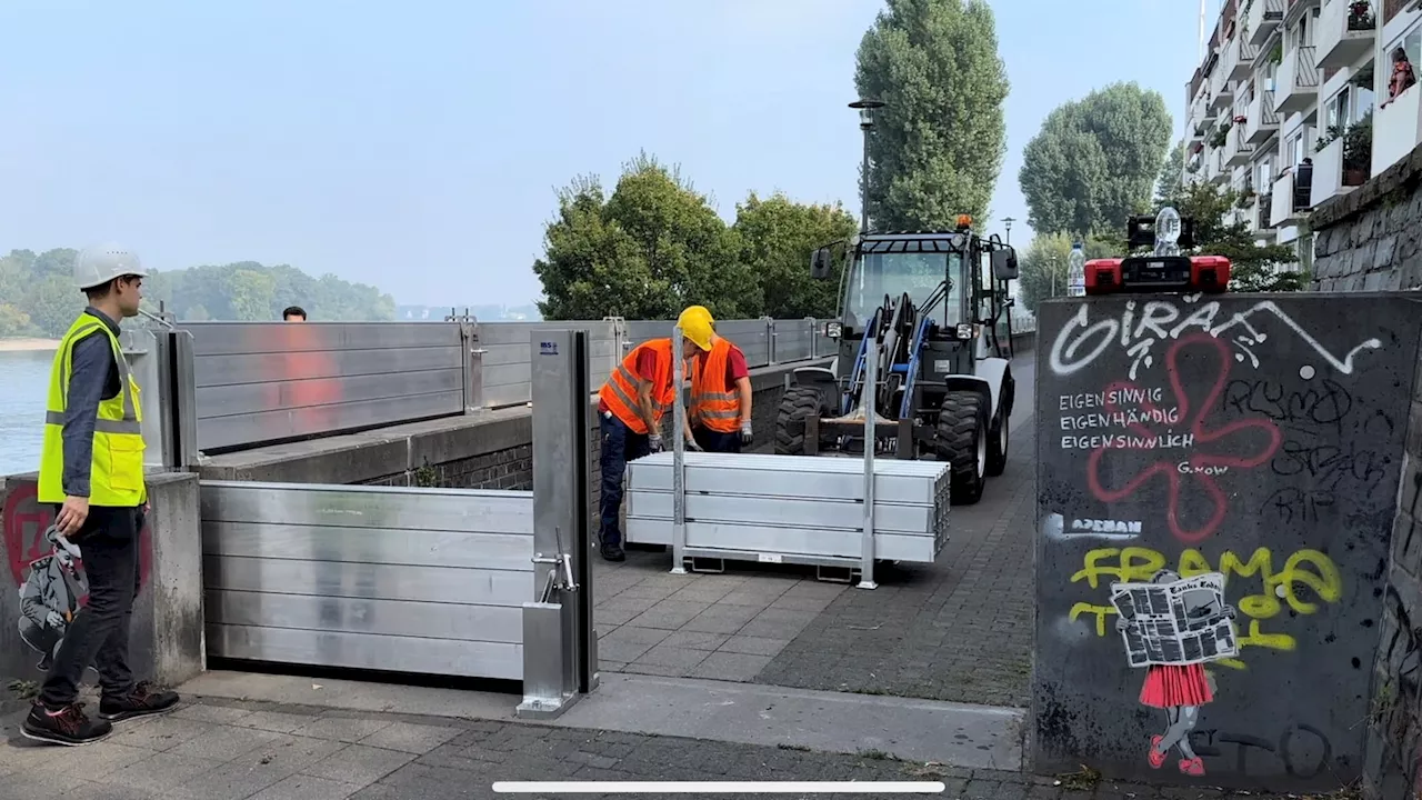 Hochwasserschutz-Übung mit Kölner Bürgern