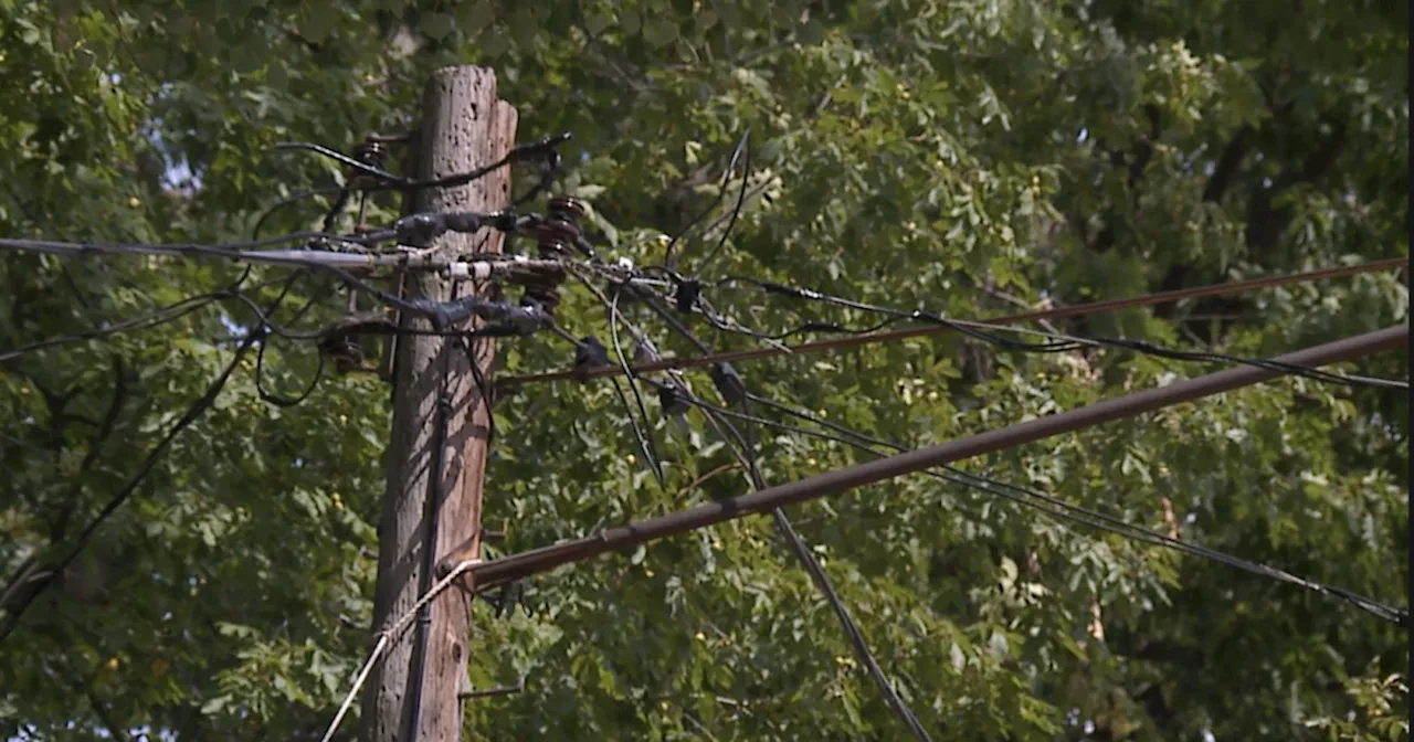 A month after Aug. 6 tornado outbreak, clean-up is still underway in Brook Park