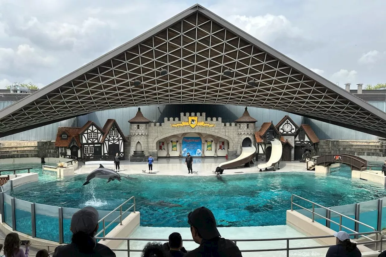 Marineland owner Marie Holer dies, park says 'succession plan' in place