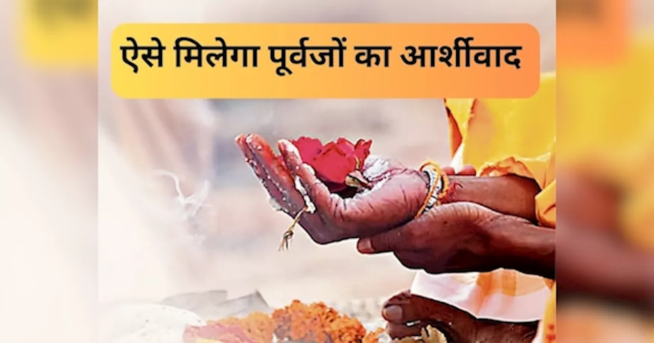 Ancestors Blessing: बस ये काम करने से आपके ऊपर हमेशा बना रहेगा पूर्वजों का आर्शीवाद, सभी कष्ट होंगे दूर