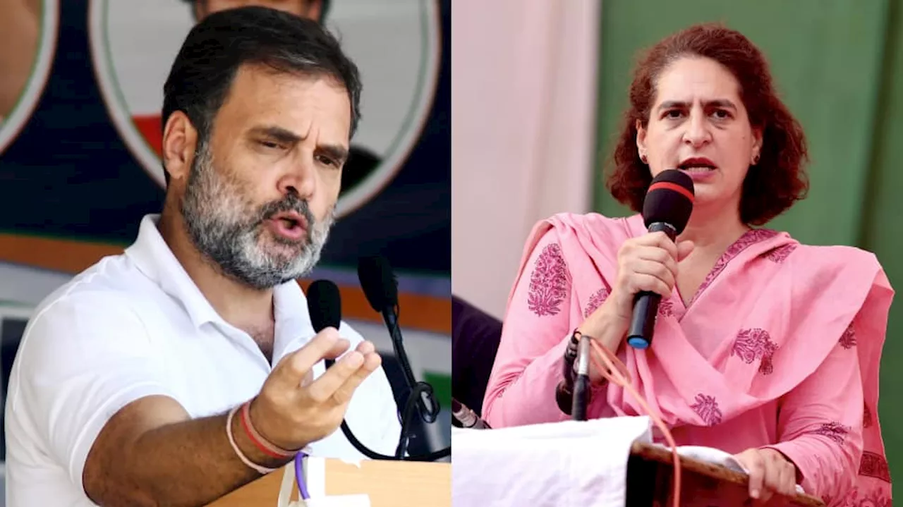 ‘Entire Country Is Stunned...’: Rahul Gandhi, Priyanka React To Ujjain Rape Case