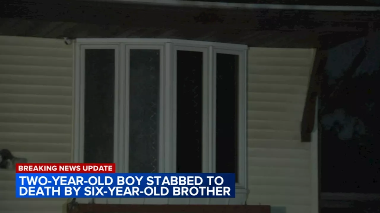 Joliet police investigating after 2-year-old boy was stabbed to death by 6-year-old brother