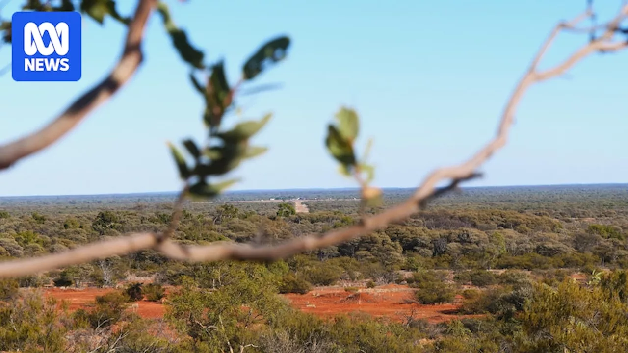 Queensland Rural Debt Survey shows debt has risen 8.2 per cent in three years