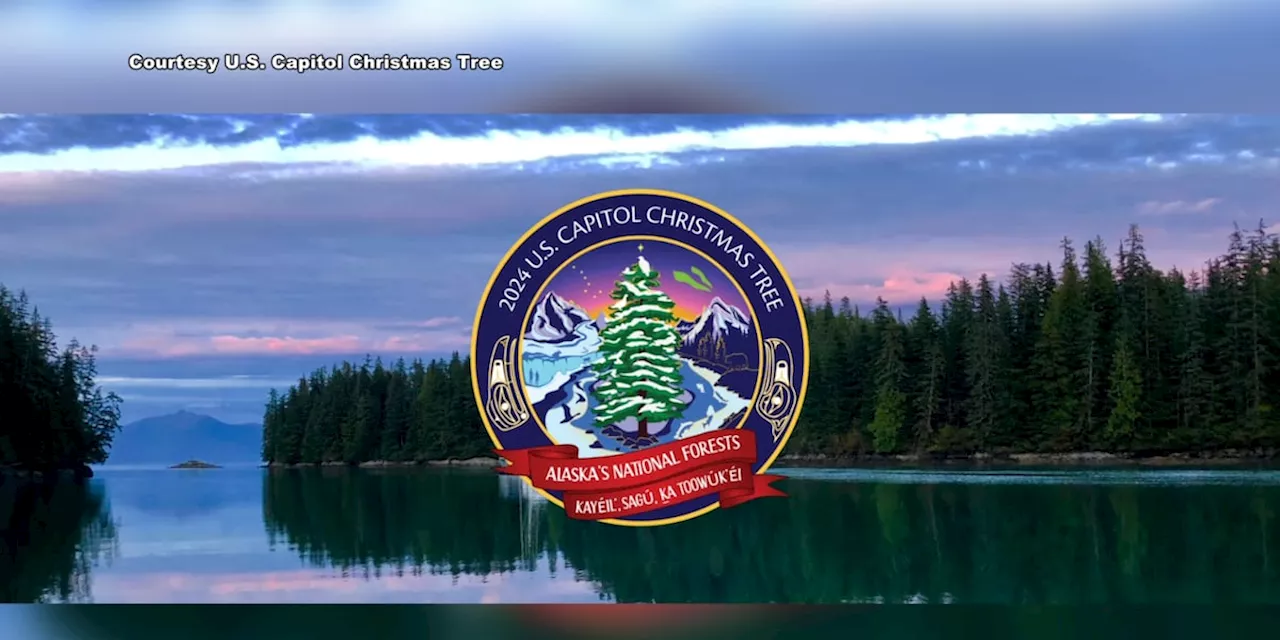 Alaskans help decorate U.S. Capitol Christmas Tree chosen from Tongass National Forest