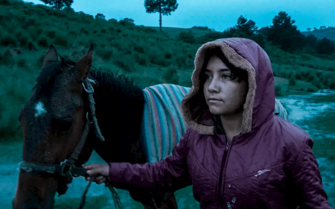 'El Eco', un documental de Tatiana Huezo sobre la fragilidad de la Tierra