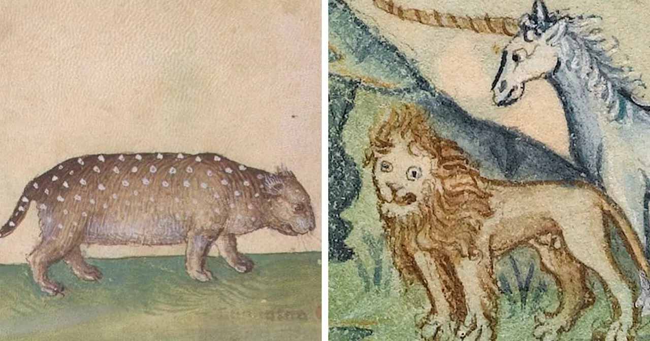80 Times Medieval Artists Made Everyone Laugh With Their Renditions Of Animals