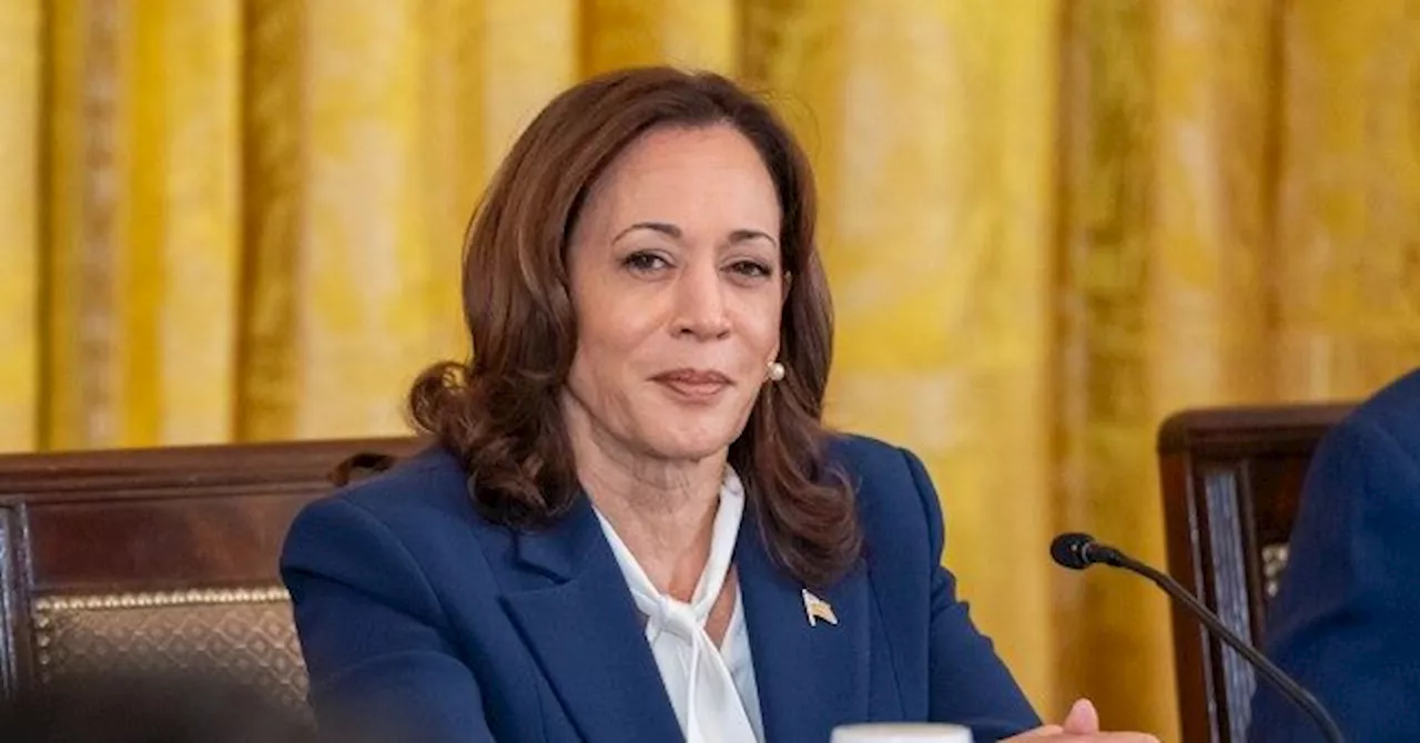 Wall Street Donors Beg Kamala Harris to Fire FTC Trust-Buster Lina Khan