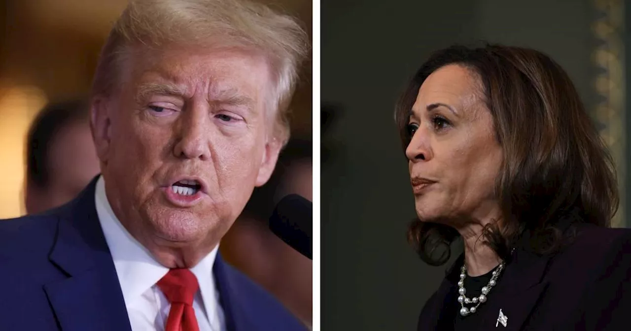 Harris campaign hits Trump on 2020 Taliban deal in response to his criticism of Afghanistan withdrawal