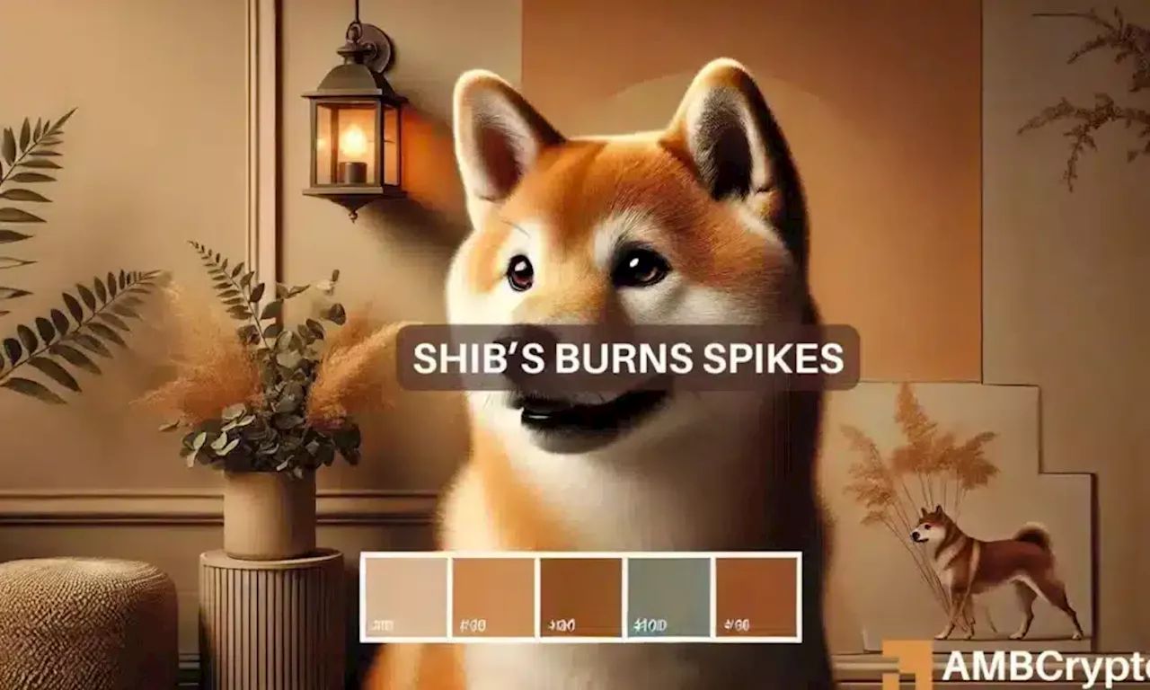 Shiba Inu burns rise, but this is why SHIB remains below crucial levels