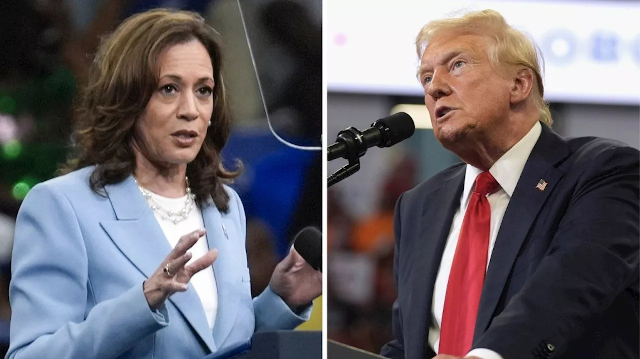 Harris and Trump are getting ready for Tuesday's debate in sharply different ways