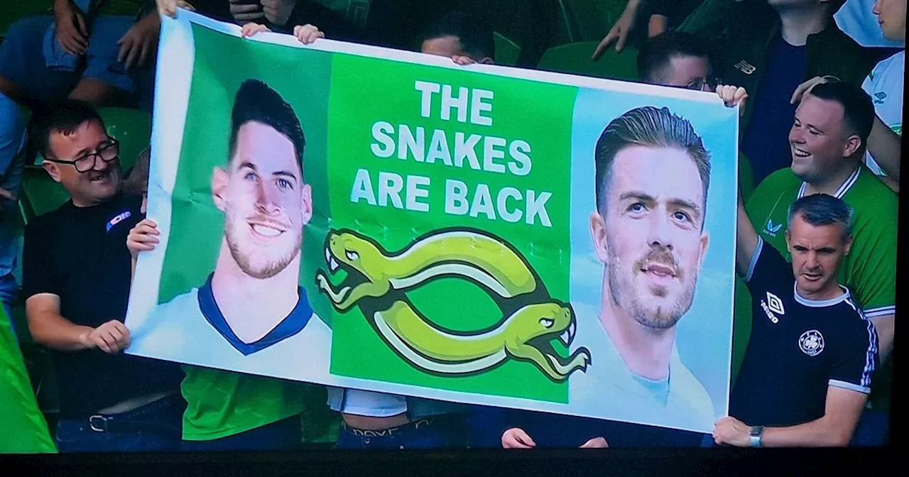 Grealish and Rice branded 'snakes' as rogue fan causes security breach in Dublin