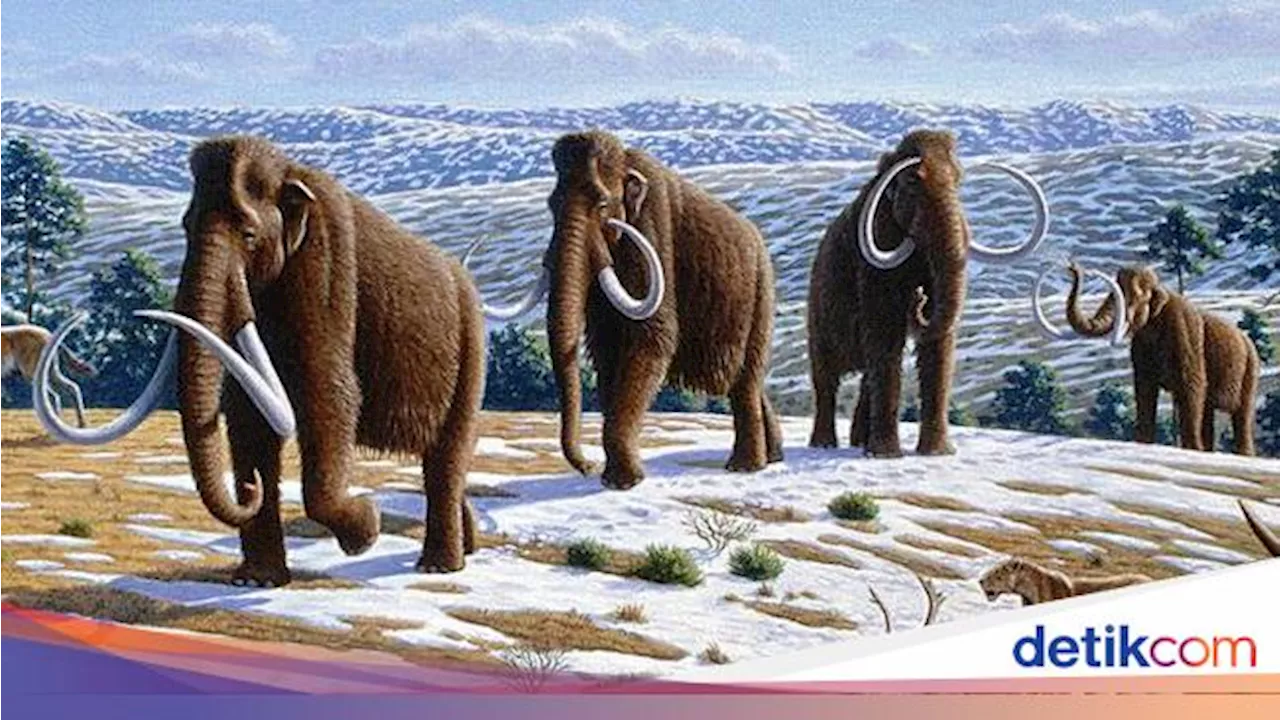 10 Hewan yang Punah Karena Manusia, Burung Dodo sampai Mamut