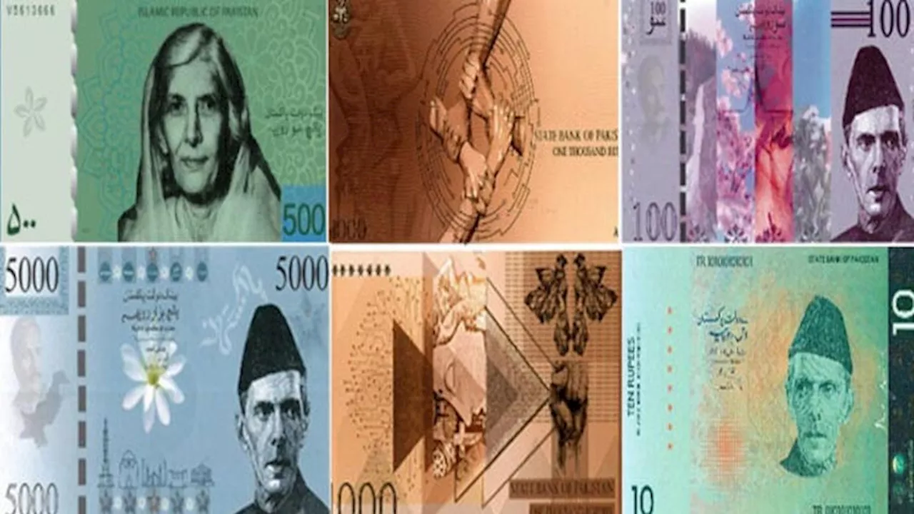 Women steal the SBP currency note design competition show