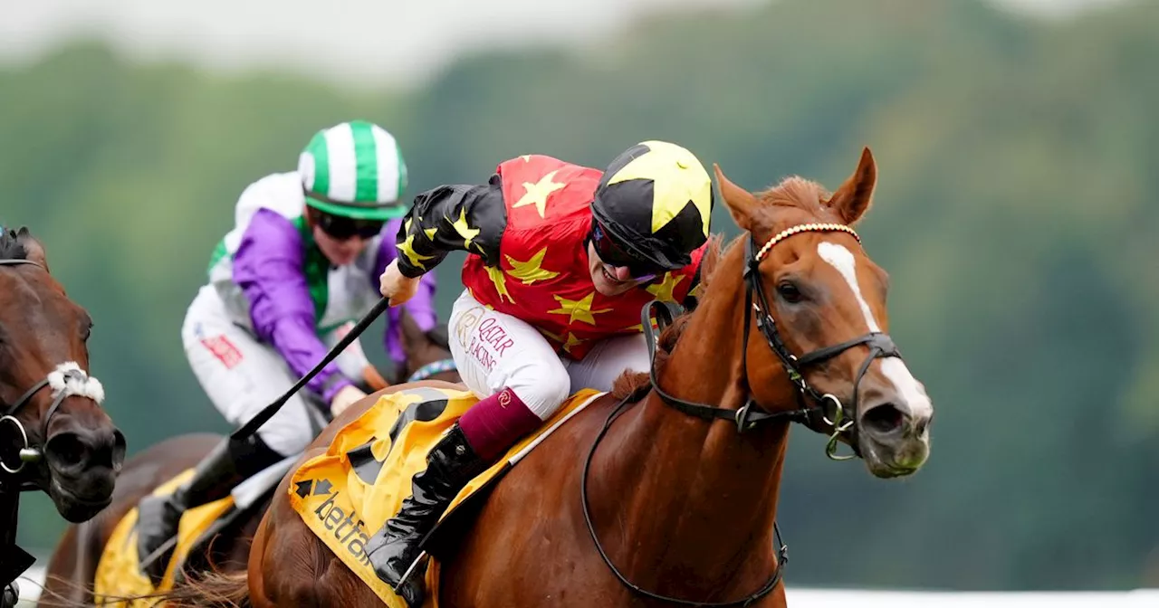 Montassib lands shock 25-1 win in the Betfair Sprint Cup at Haydock Park