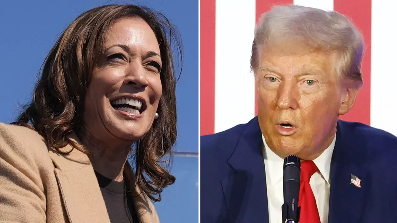 Allan Lichtman predicts Harris as 2024 winner because 'Democrats got