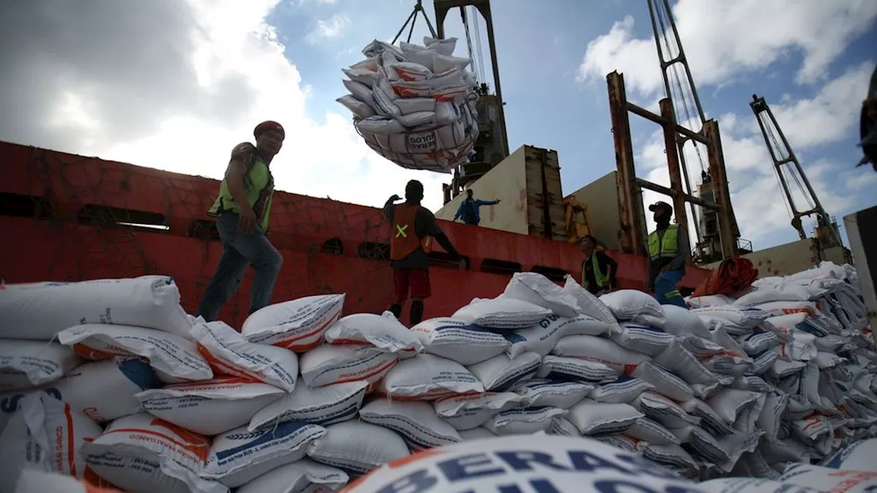 Peningkatan Produksi Beras Dunia dan Fase Krusial Beras Indonesia