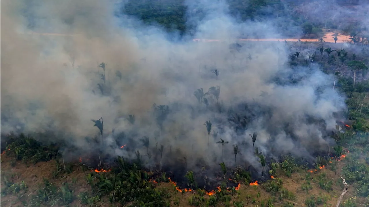 L'amazzonia brucia sempre di più