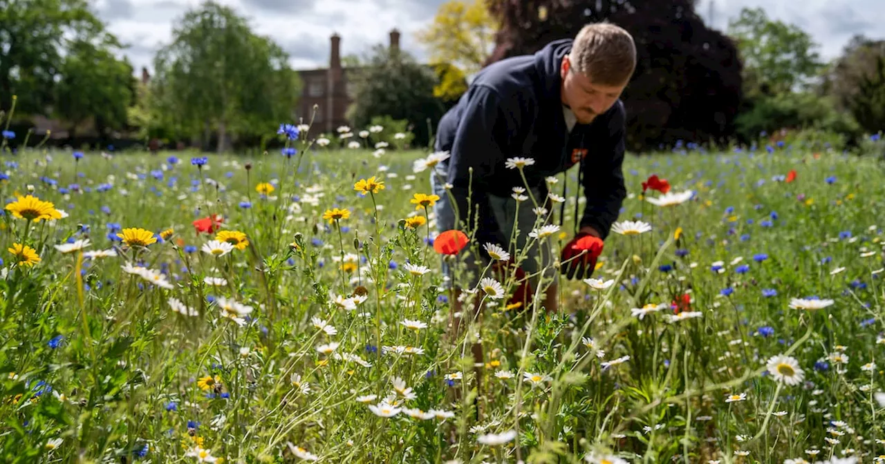 A wealth of late-blooming plants are bright stars of the autumn garden