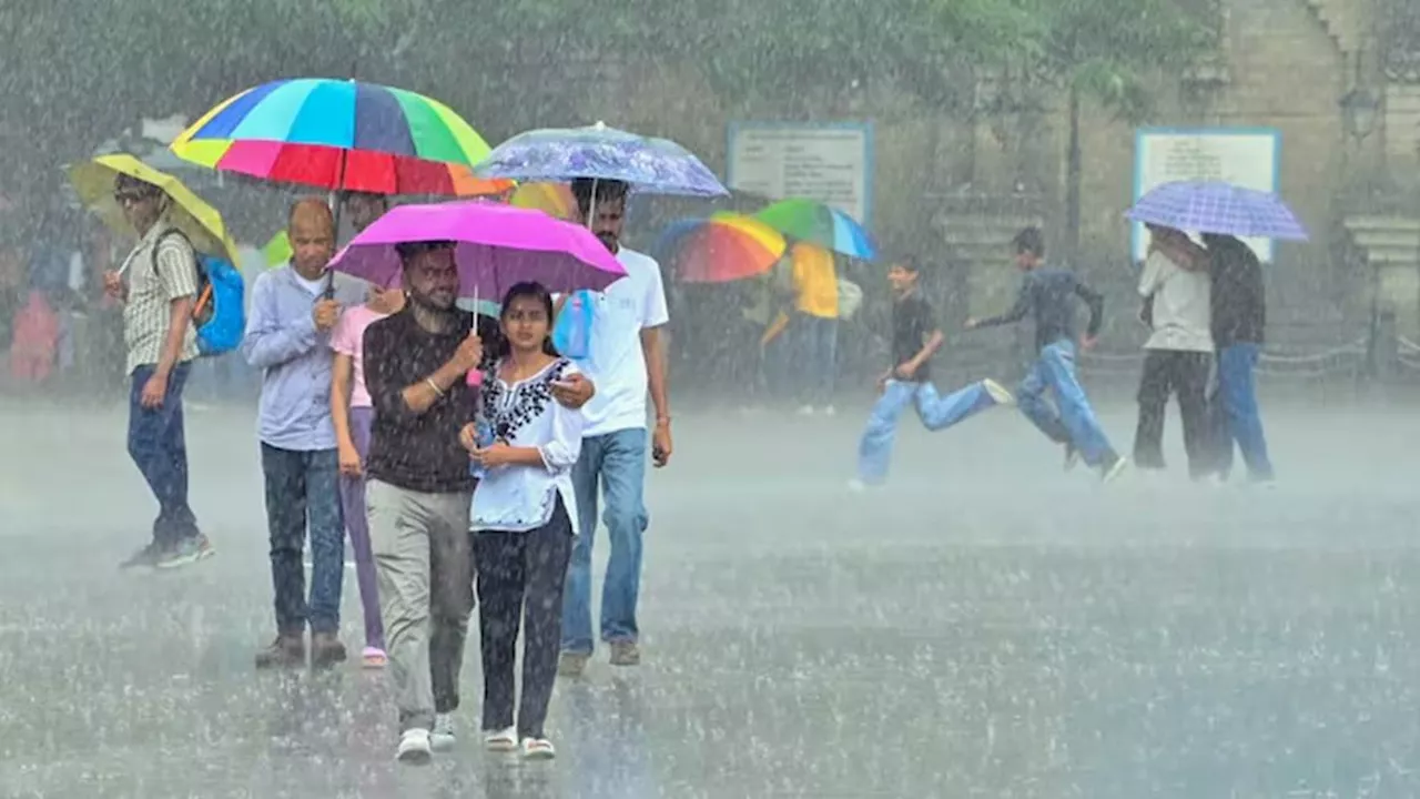 Monsoon: मैदान से लेकर पहाड़ों तक मानसूनी बारिश दौर रहेगा जारी, दिल्ली-यूपी में यलो अलर्ट; पढ़ें IMD का ताजा अपडेट