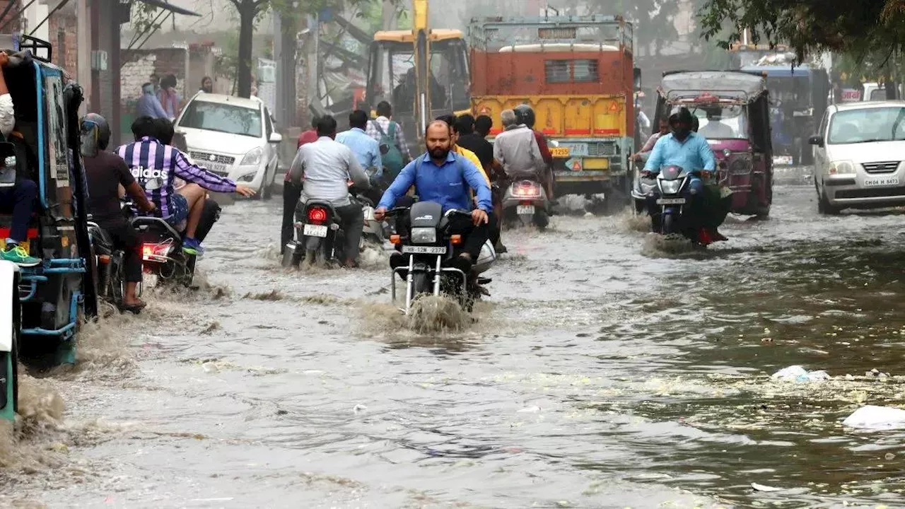 Rajasthan: शहरों में भरा पानी, नदियां उफान पर, पाली में कार समेत बही महिला डॉक्टर; राजस्थान में बारिश से हाहाकर