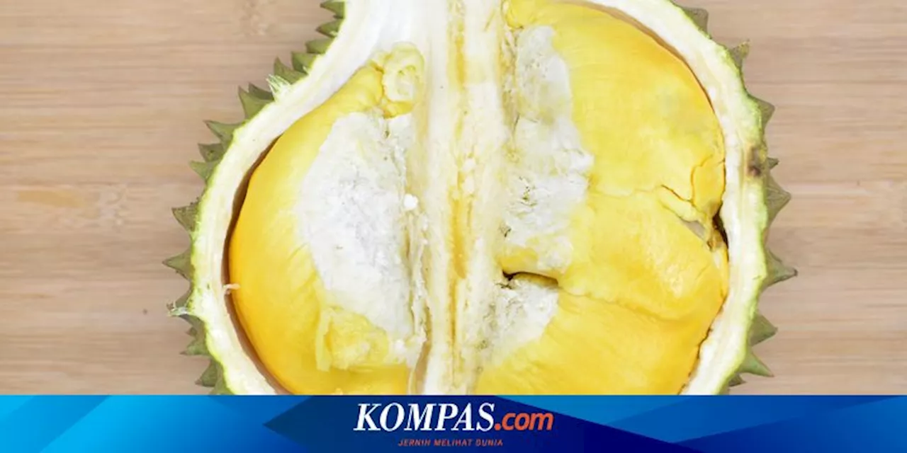 5 Orang yang Tidak Boleh Makan Durian, Siapa Saja?