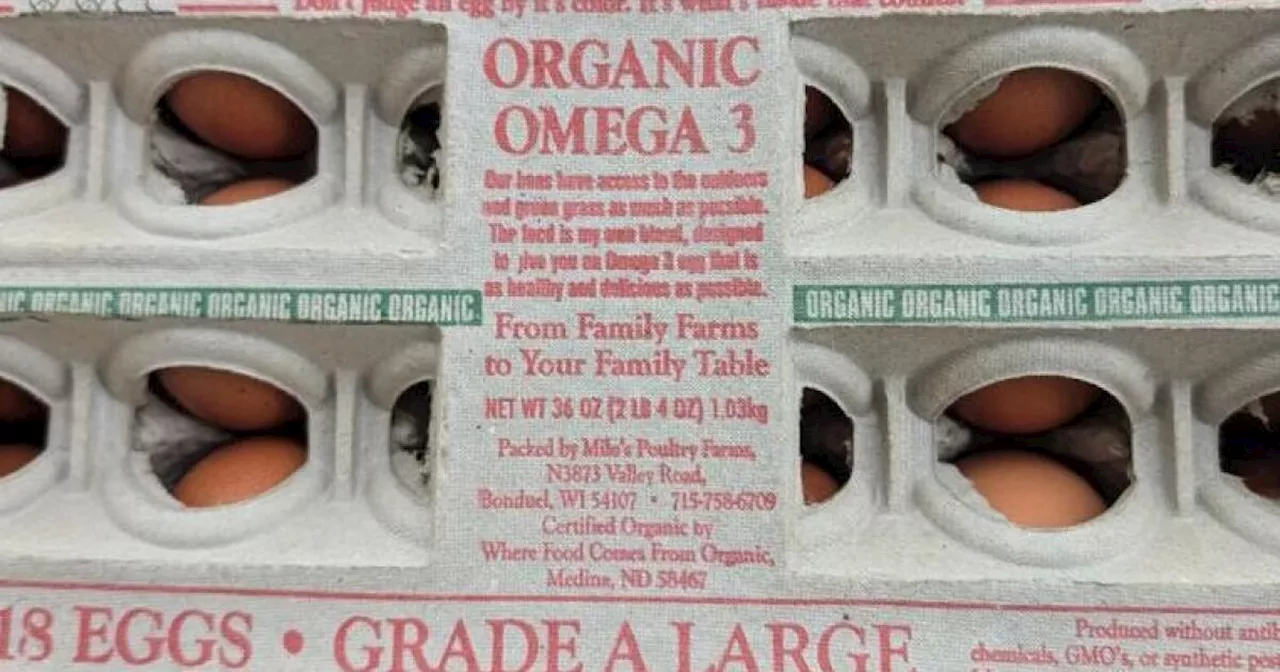 A salmonella outbreak linked to recalled eggs sickens people in 9 states