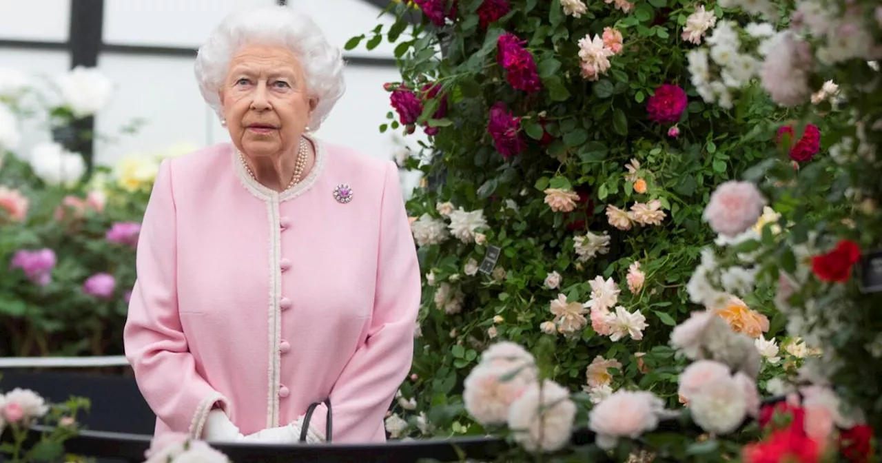 2. Todestag: Queen Elizabeth soll Denkmal bekommen