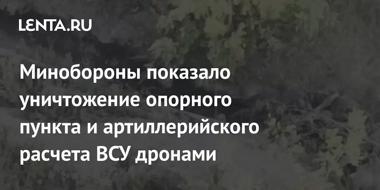 Минобороны показало уничтожение опорного пункта и артиллерийского расчета ВСУ дронами