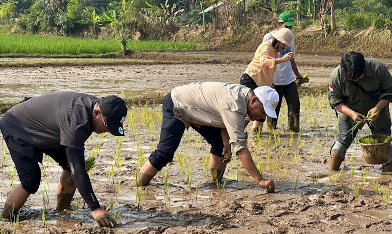 Kemarau Tetap Bisa Tanam, IP Naik, Petani Pun Senang